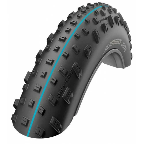 Pneumatiques Pour Cycles 26x4.00 Pneu Fat Bike Schwalbe JUMBO JIM - Evolution Line TubelessEasy - HS466 - Tringle Souple - ETRTO 100-559 – Image 2